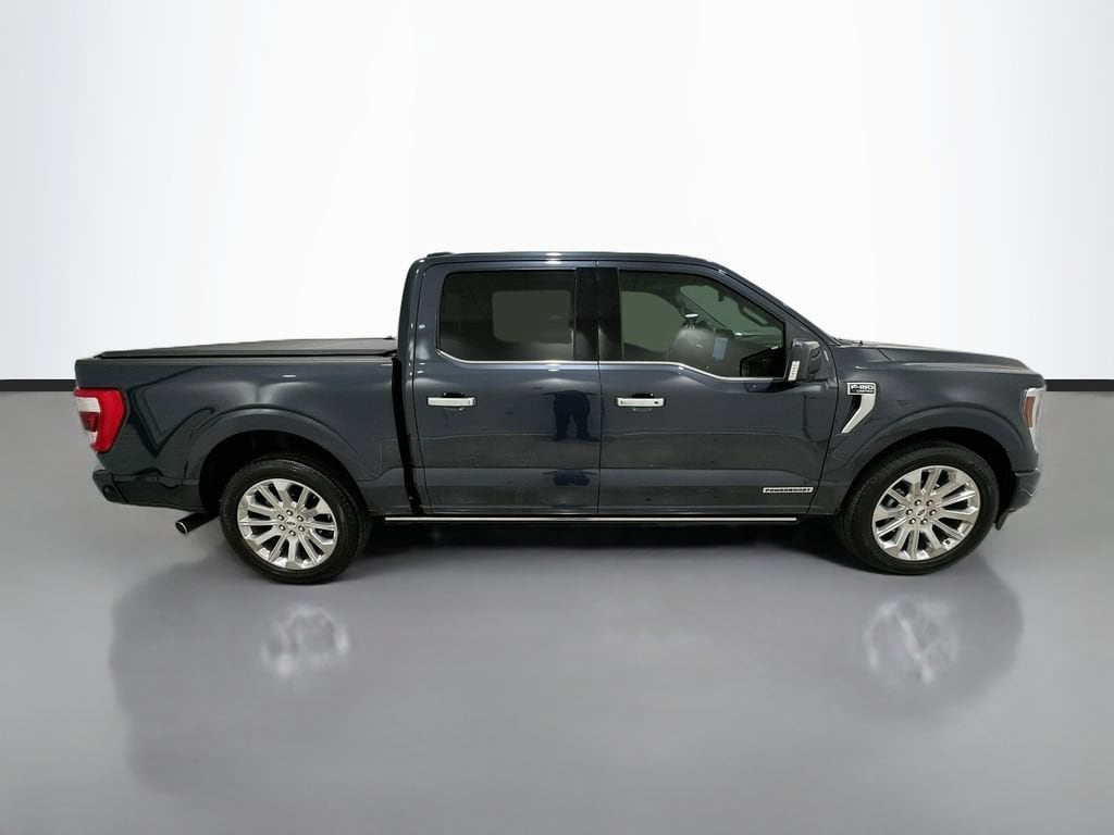 2021 Ford F-150 Limited - Photo 8