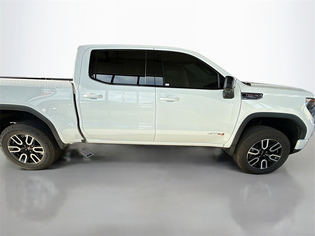 2022 Gmc Sierra 1500 AT4 photo 4