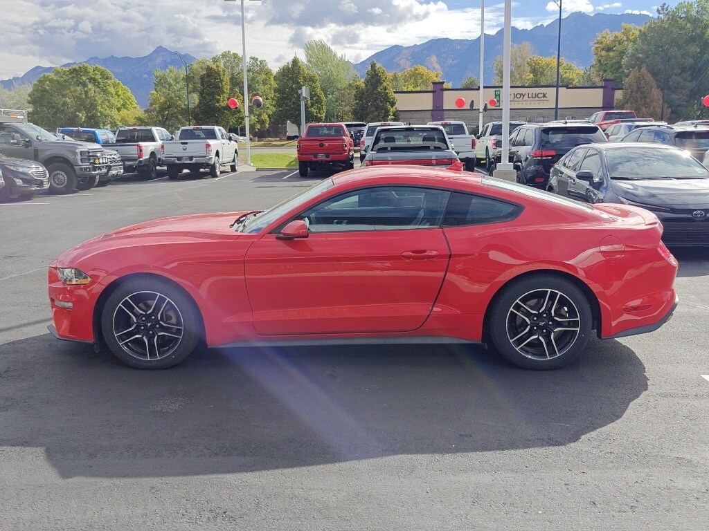2023 Ford Mustang EcoBoost Premium photo 4