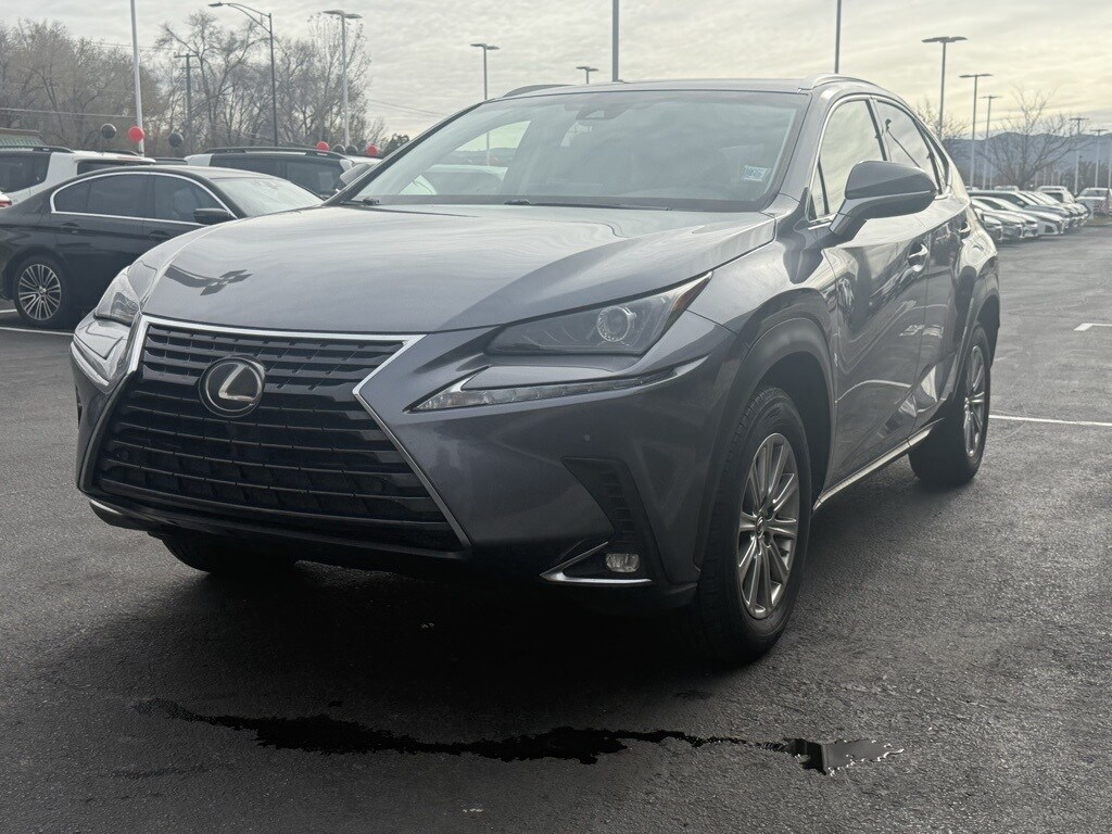 2018 Lexus NX 300 Luxury photo 3