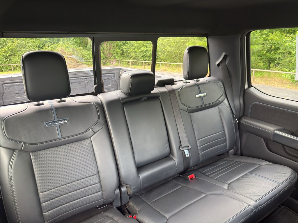 2024 Ford F-150 Platinum - Photo 19