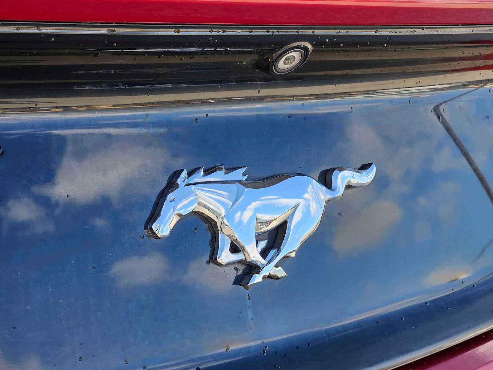 Thumbnail: 2015 Ford Mustang - 11