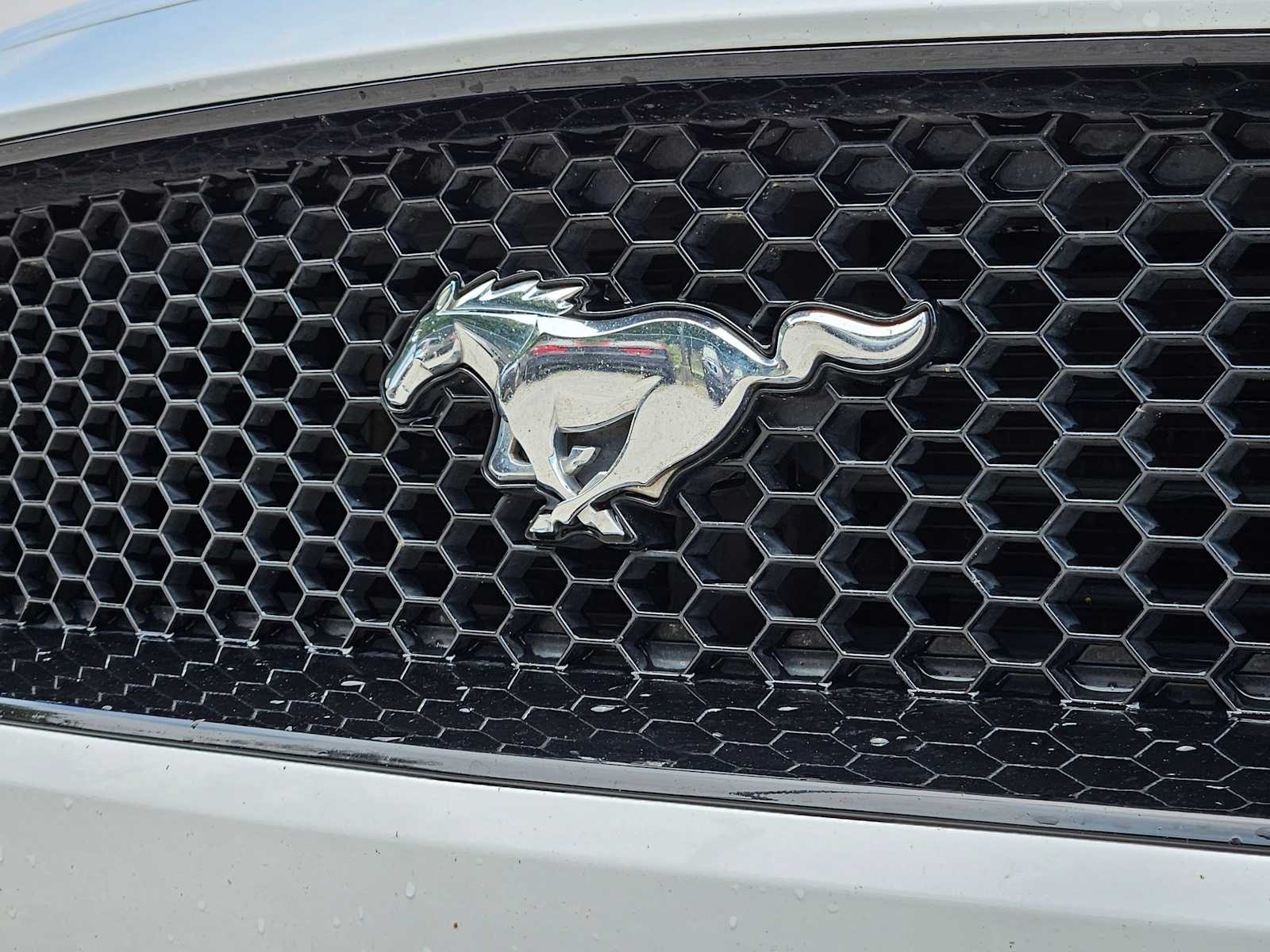 Thumbnail: 2022 Ford Mustang - 11