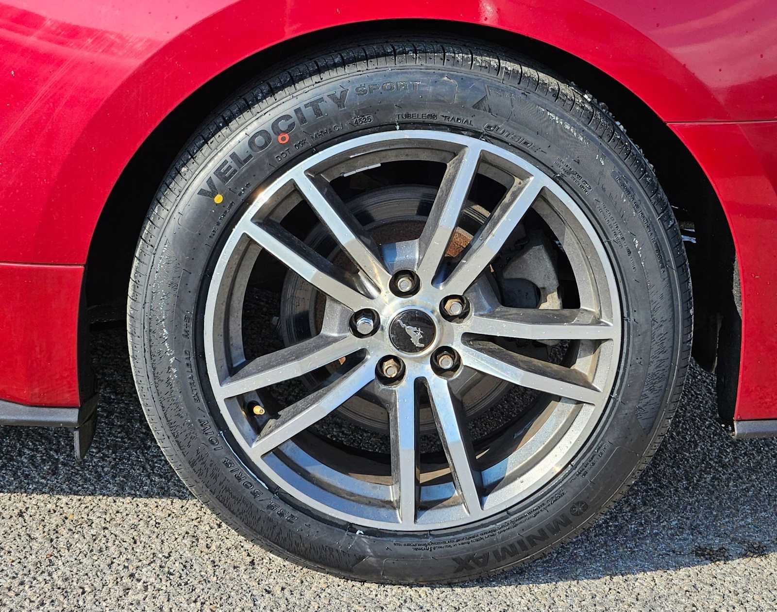 Thumbnail: 2015 Ford Mustang - 12