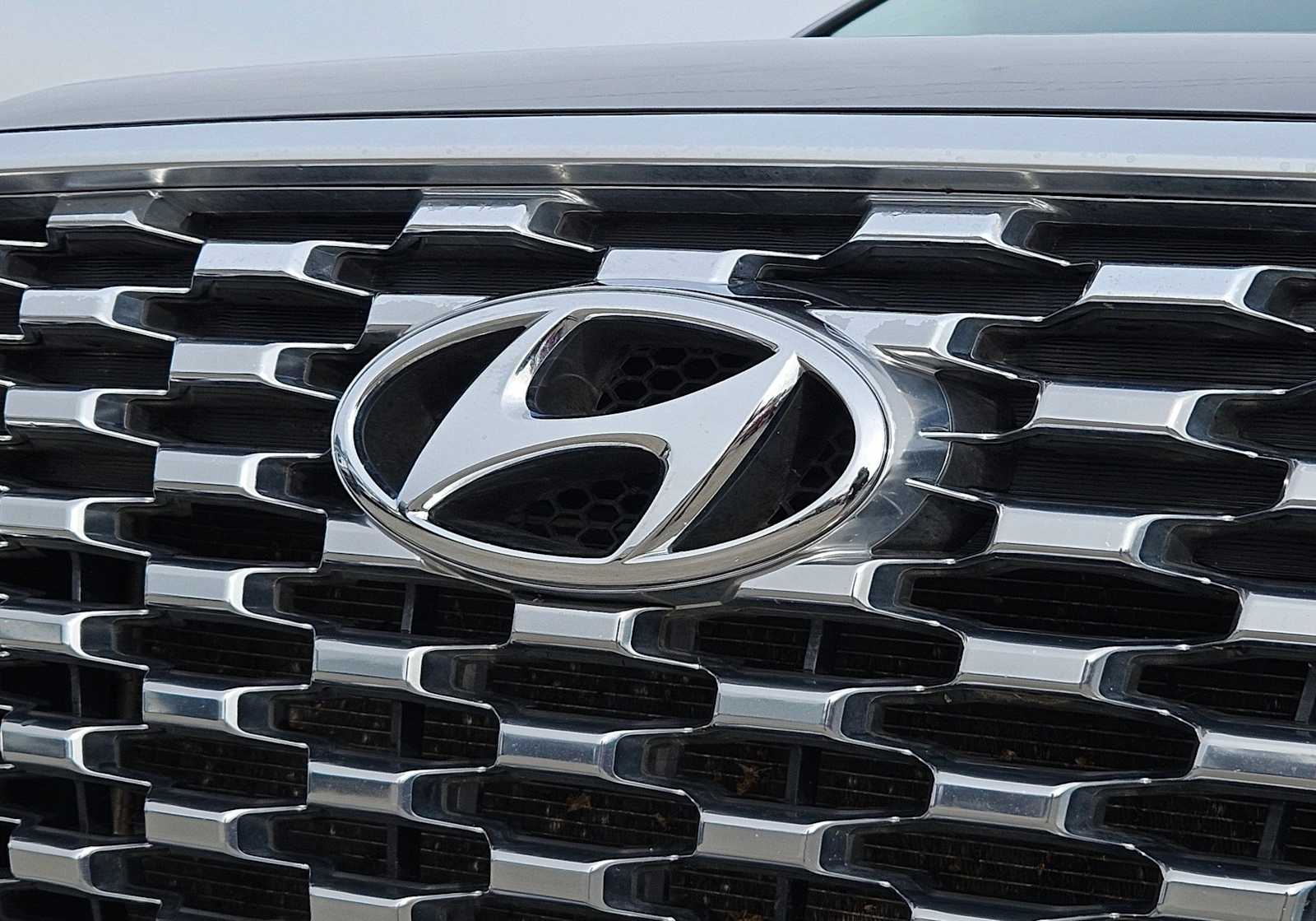 Thumbnail: 2020 Hyundai Palisade - 12