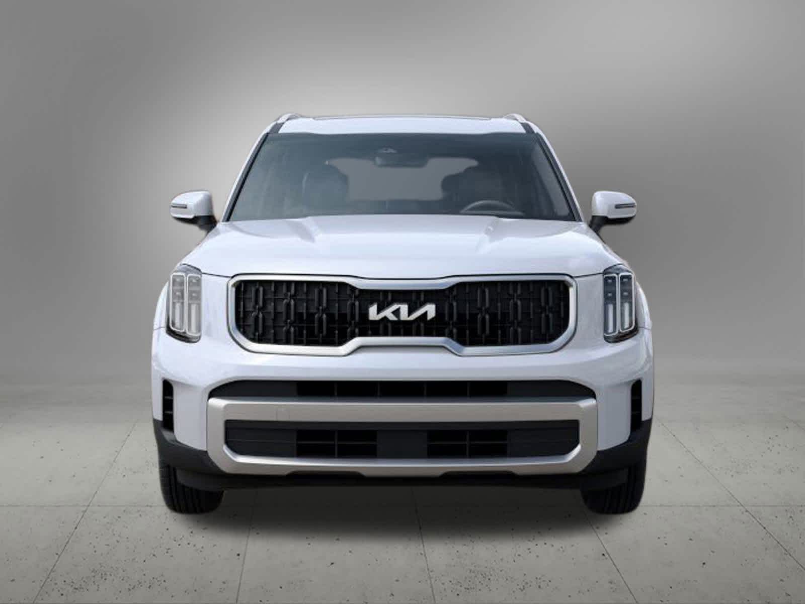 2025 Kia Telluride EX photo 2