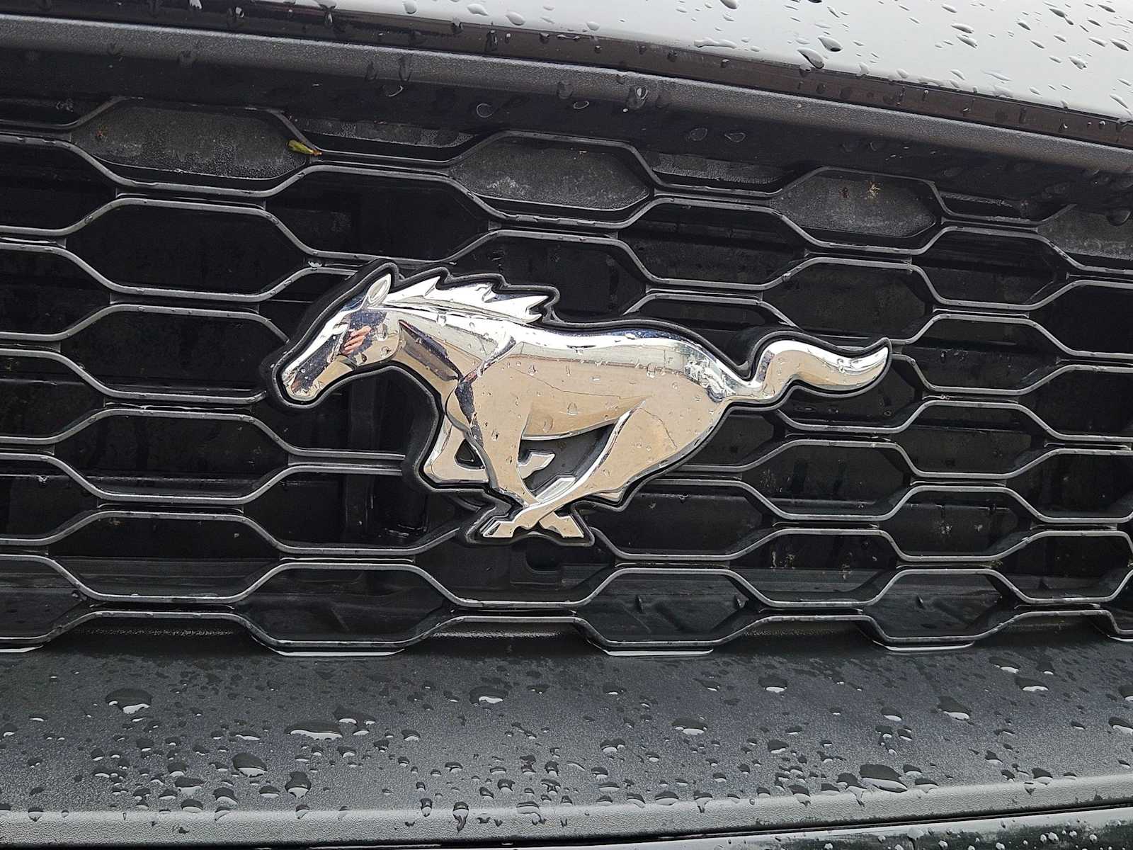 Thumbnail: 2023 Ford Mustang - 12