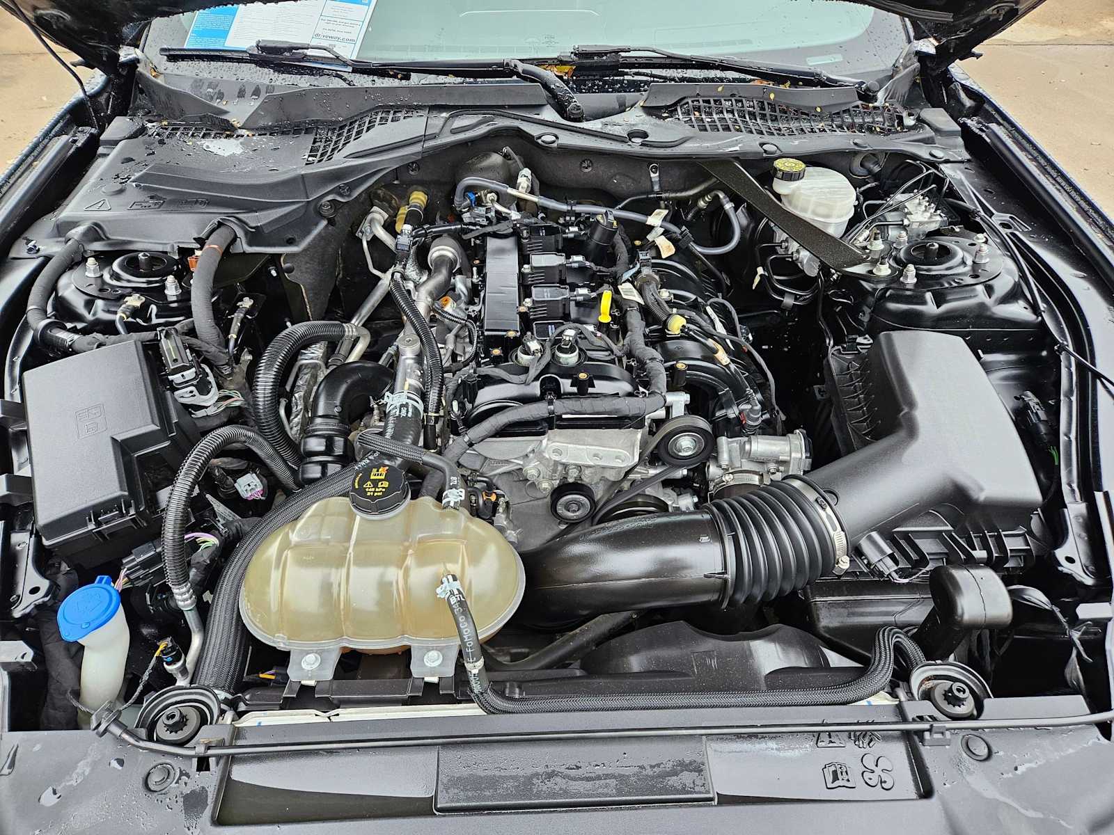 Thumbnail: 2023 Ford Mustang - 14