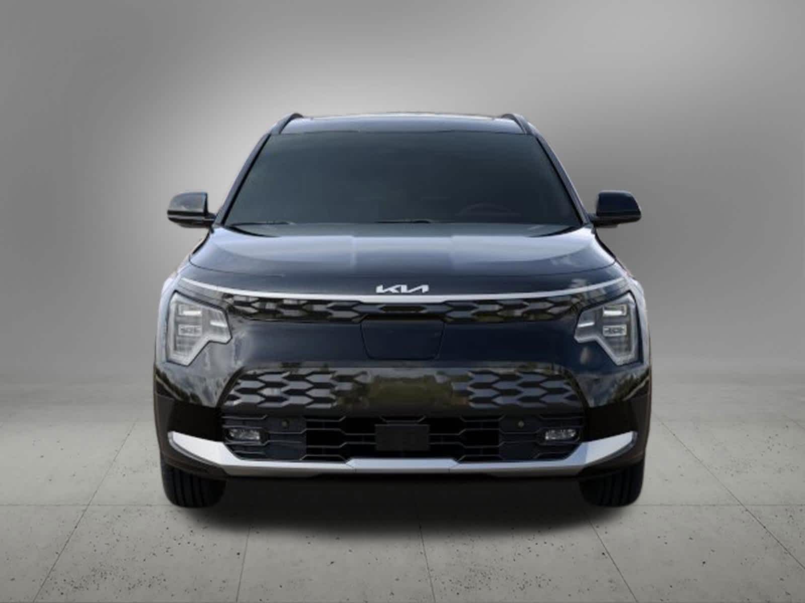 2024 Kia Niro EV Wave photo 2