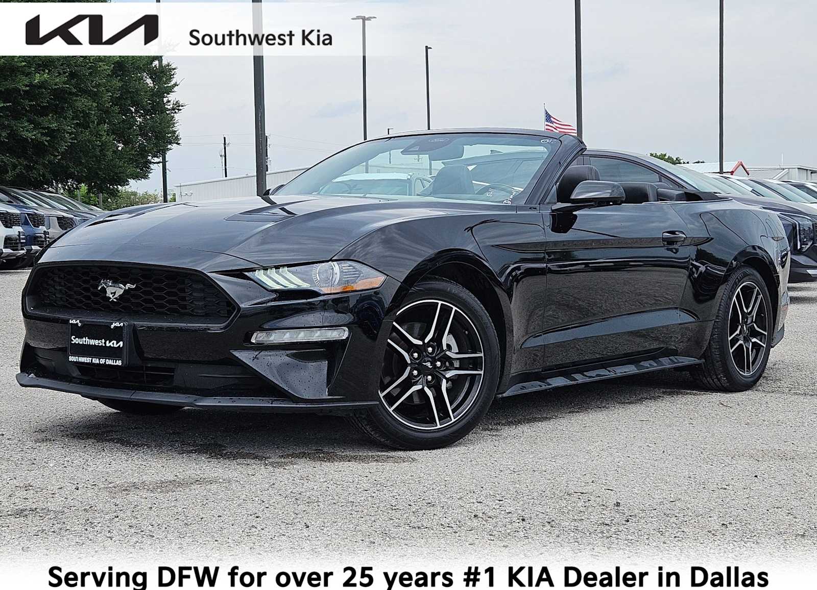 2023 Ford Mustang EcoBoost Premium Convertible's photo