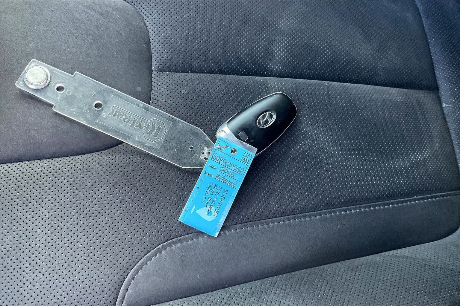 Thumbnail: 2025 Hyundai Palisade - 19