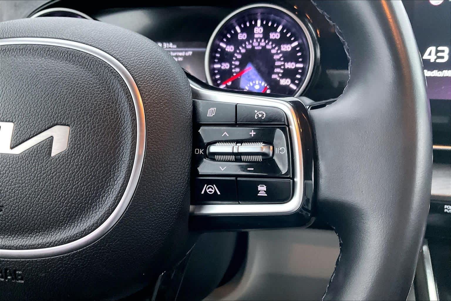 Thumbnail: 2022 Kia Carnival - 24