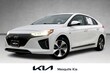  Hyundai Ioniq EV
