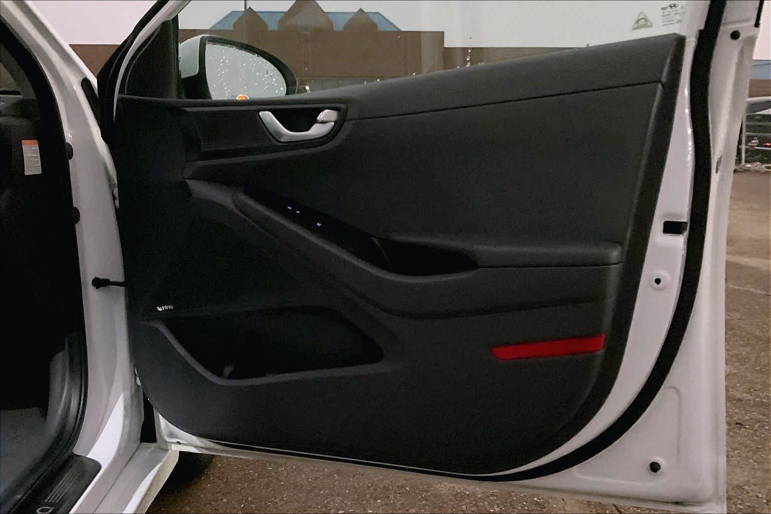 Thumbnail: 2019 Hyundai Ioniq - 27