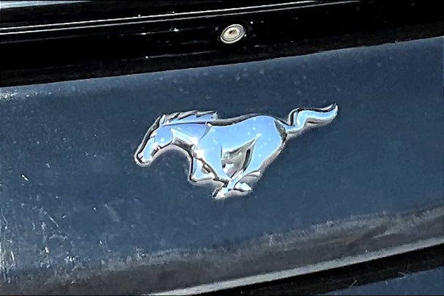 Thumbnail: 2016 Ford Mustang - 30