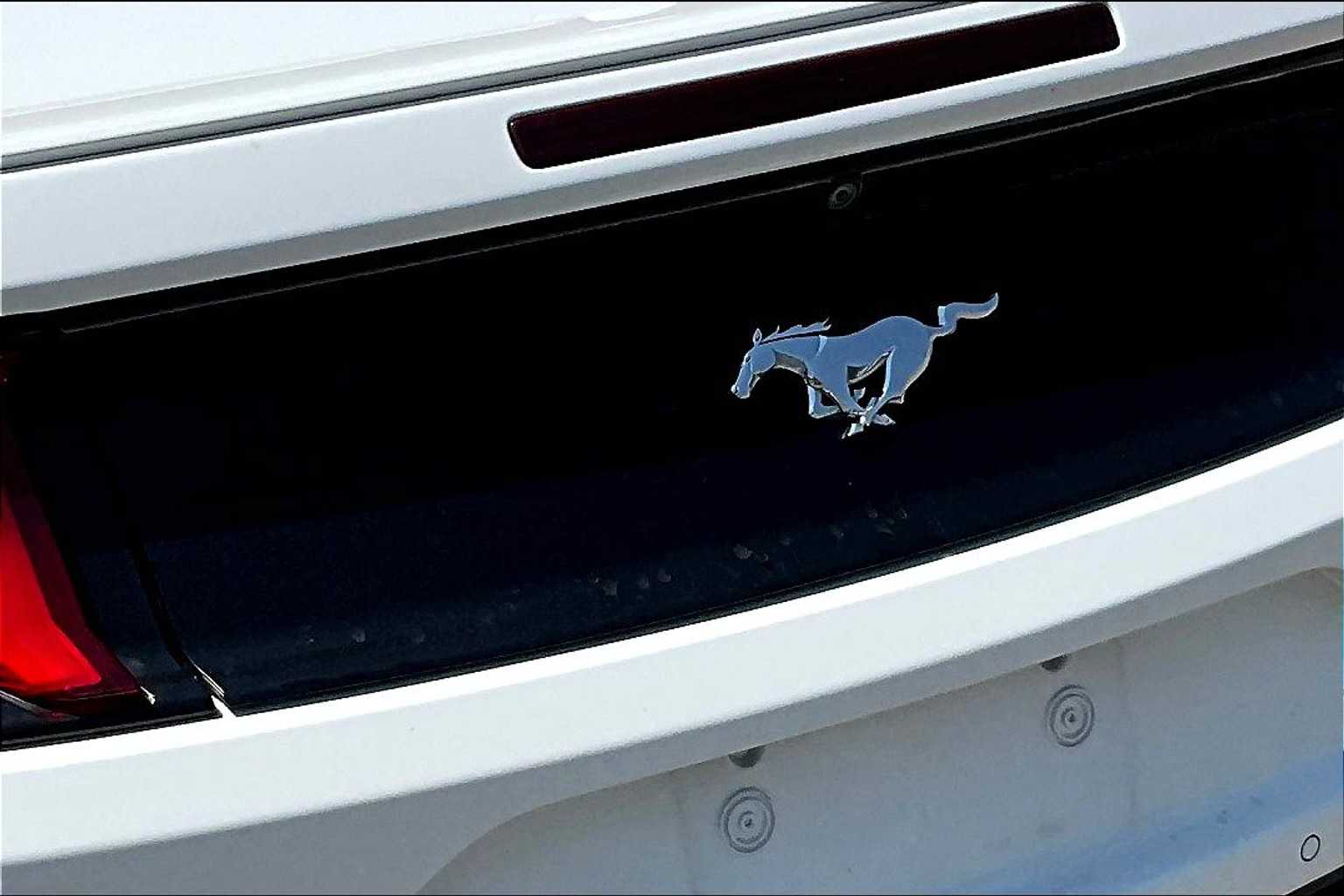 Thumbnail: 2019 Ford Mustang - 29