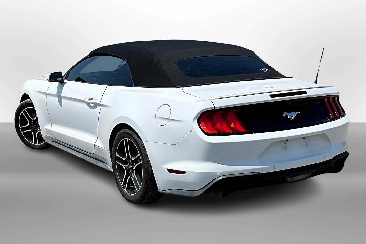 Thumbnail: 2019 Ford Mustang - 11