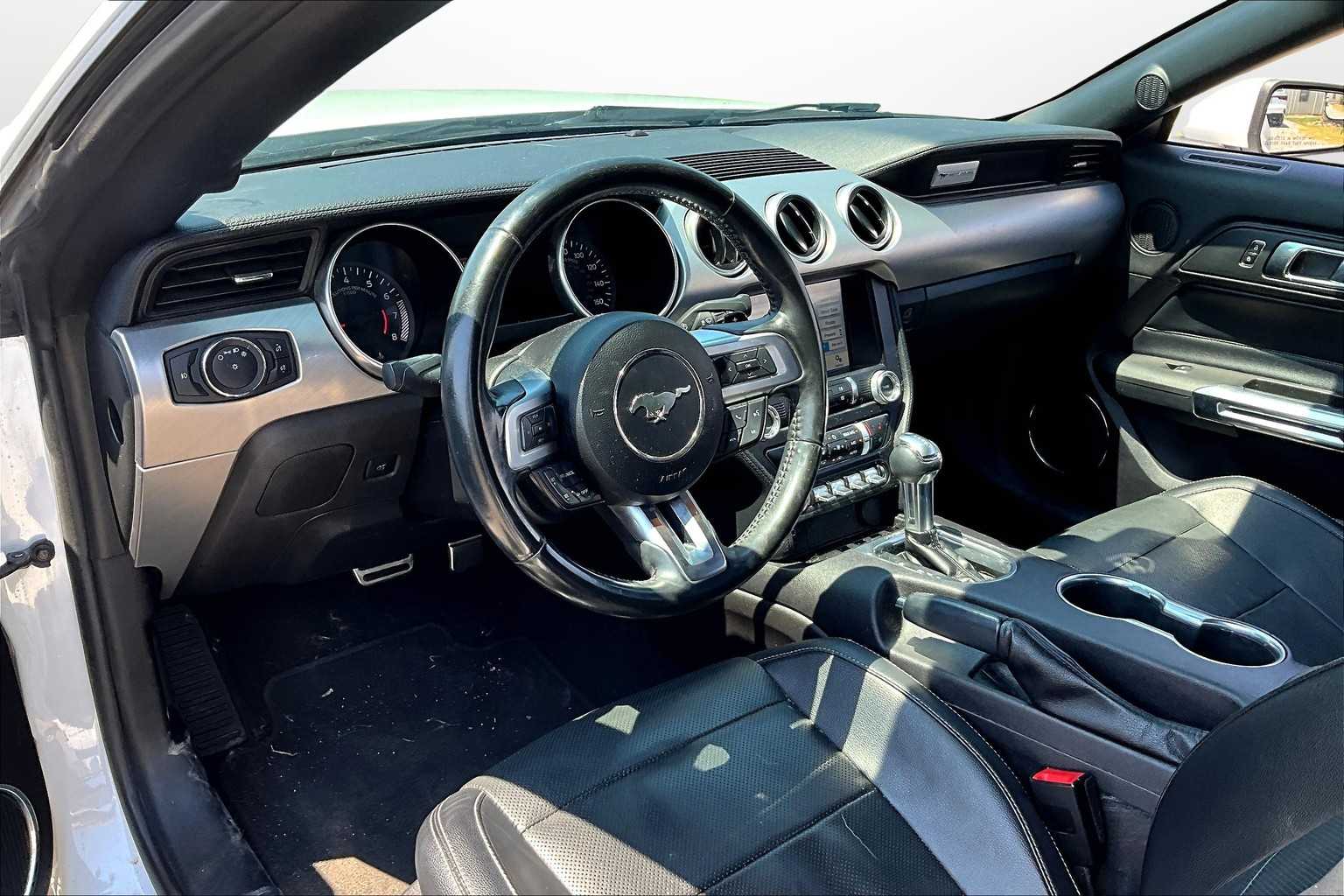 Thumbnail: 2019 Ford Mustang - 12