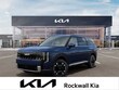  Kia Telluride Hybrid