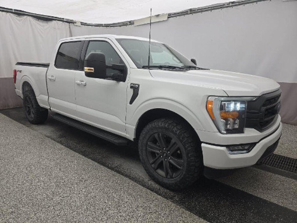 Used 2023 Ford F-150 XLT 4WD SuperCrew 5.5 Box Truck SuperCrew Cab