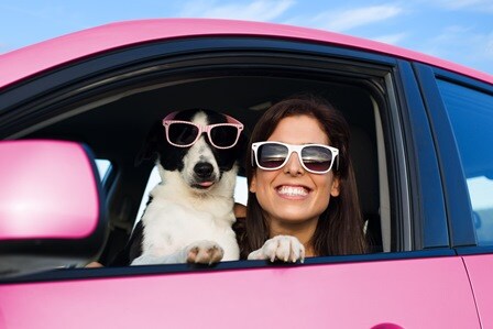 woman_dog_pink_car_smaller.jpeg