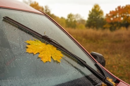 fall_windshield_wipers.jpeg