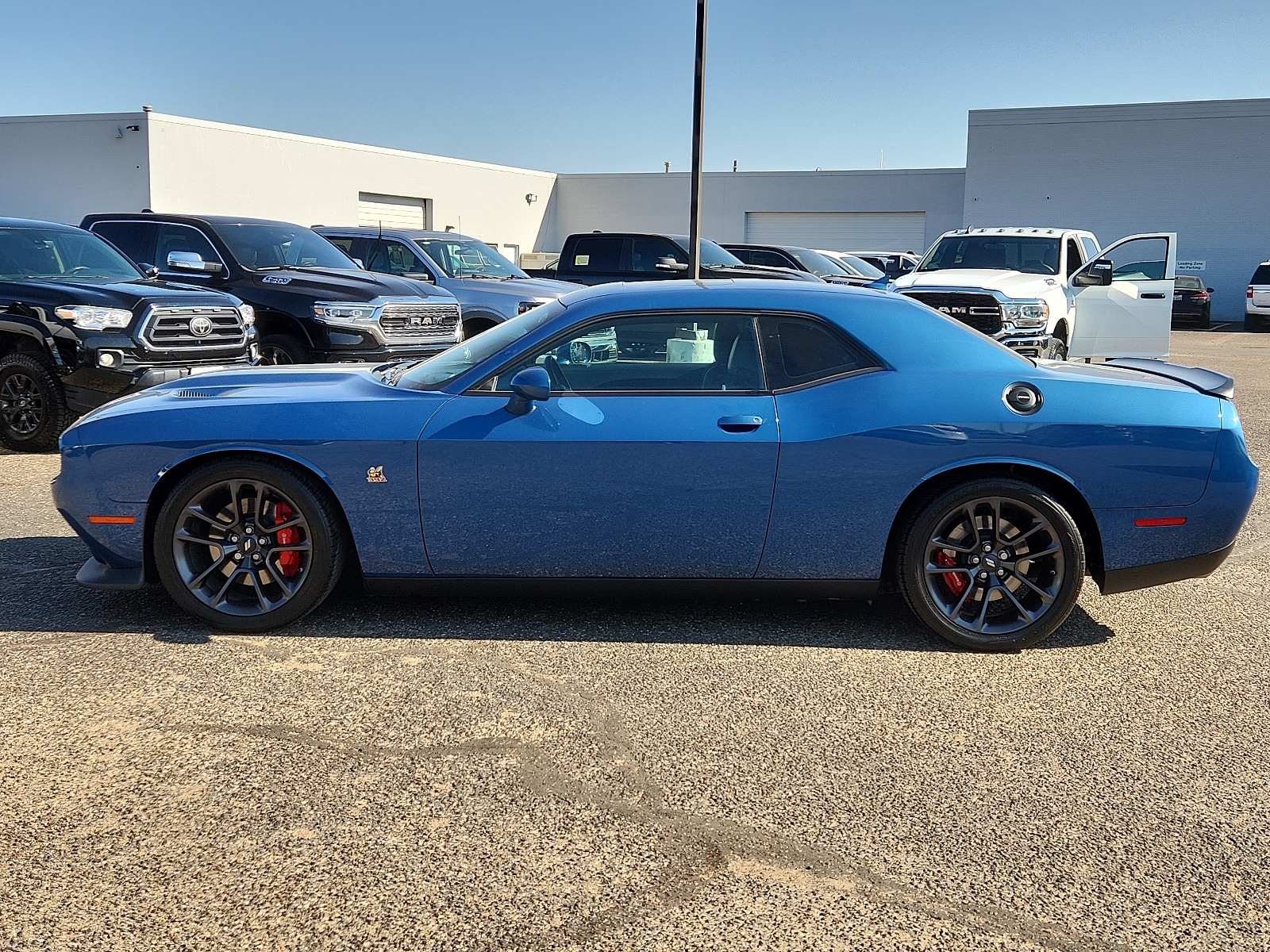 Used 2021 Dodge Challenger R/T with VIN 2C3CDZFJ6MH655209 for sale in Lubbock, TX