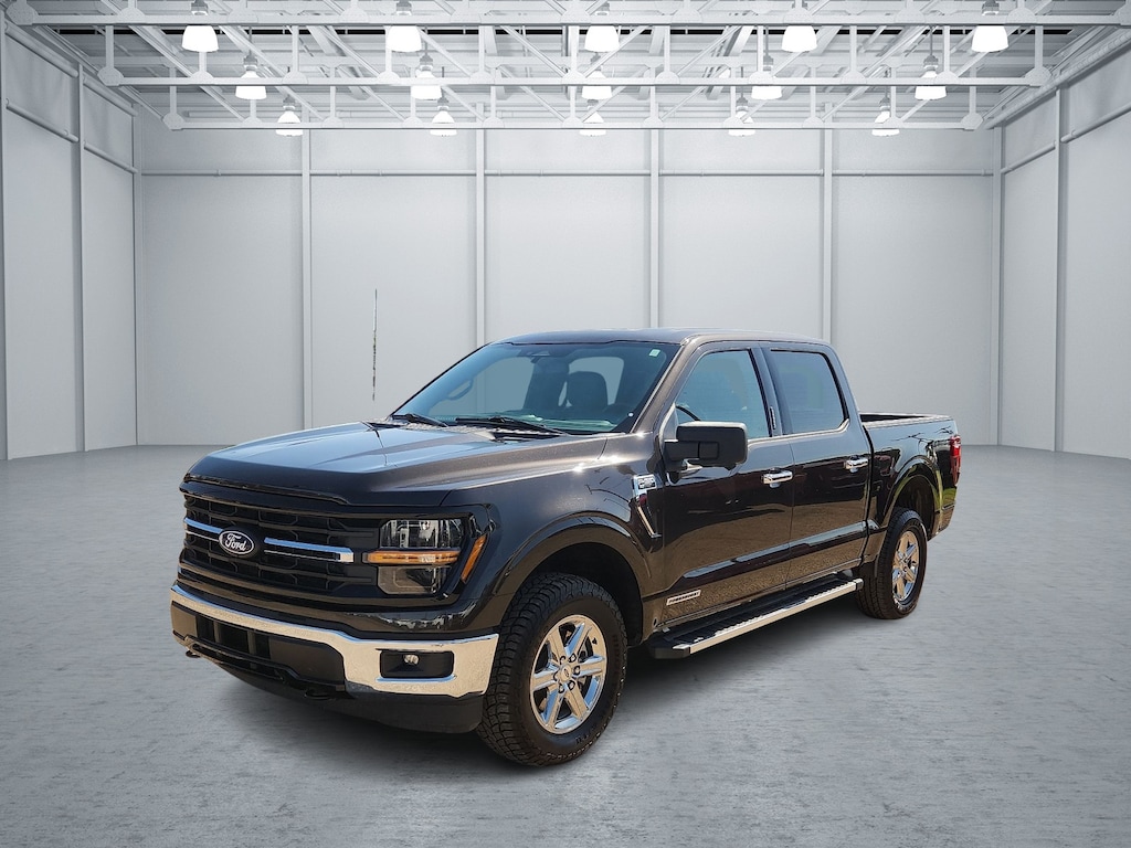 Used 2024 Ford F-150 XLT 4x4 SuperCrew Cab 5.5 ft. box 145 in. WB