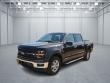 Used 2024 Ford F-150 XLT 4x4 SuperCrew Cab 5.5 ft. box 145 in. WB
