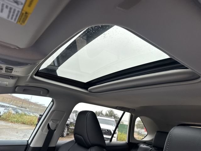 Thumbnail: 2025 Toyota RAV4 - 13