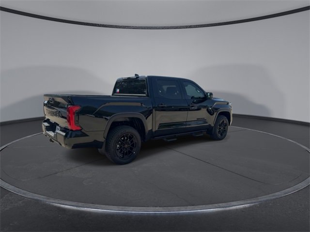 Thumbnail: 2024 Toyota Tundra - 8
