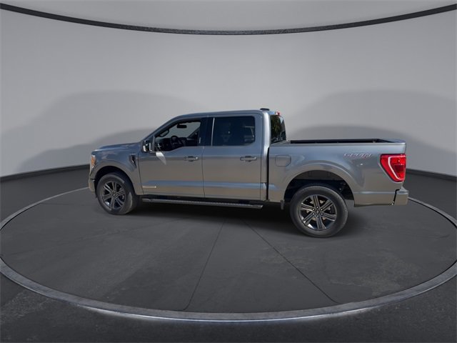 2023 Ford F-150 XLT photo 3