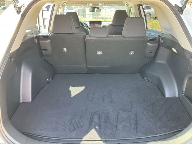 Thumbnail: 2025 Toyota RAV4 - 16