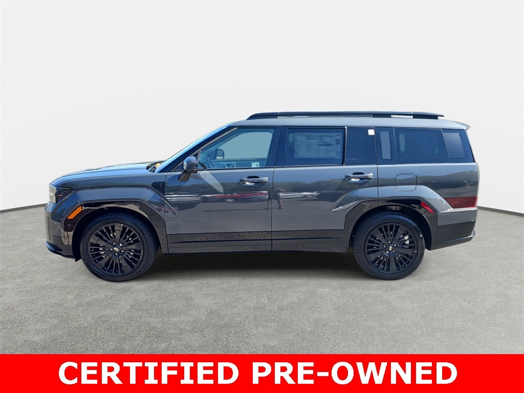 2025 Hyundai Santa Fe Calligraphy - Photo 8