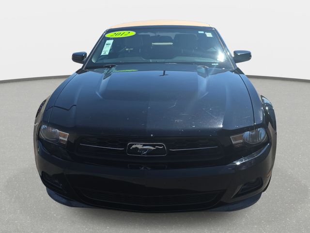 Used 2012 Ford Mustang V6 with VIN 1ZVBP8EM6C5220424 for sale in Goldsboro, NC