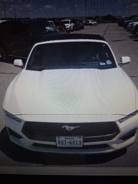 2024 Ford Mustang's photo