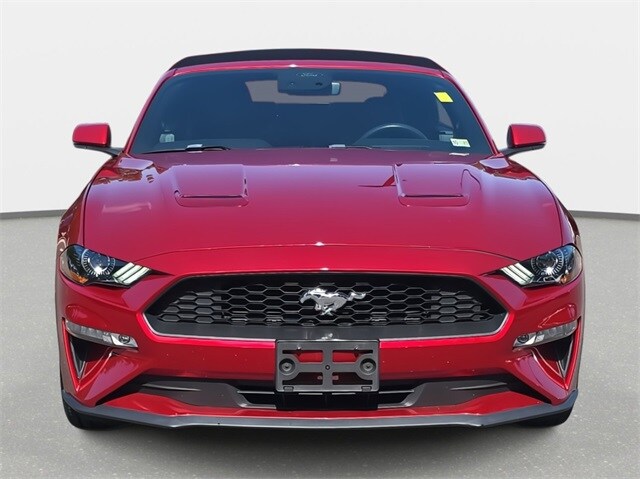 2020 Ford Mustang EcoBoost Premium photo 2