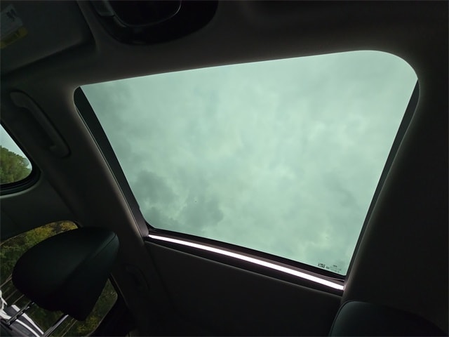 View 29