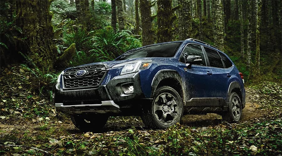 2024 Subaru Forester for Sale Jacksonville, NC