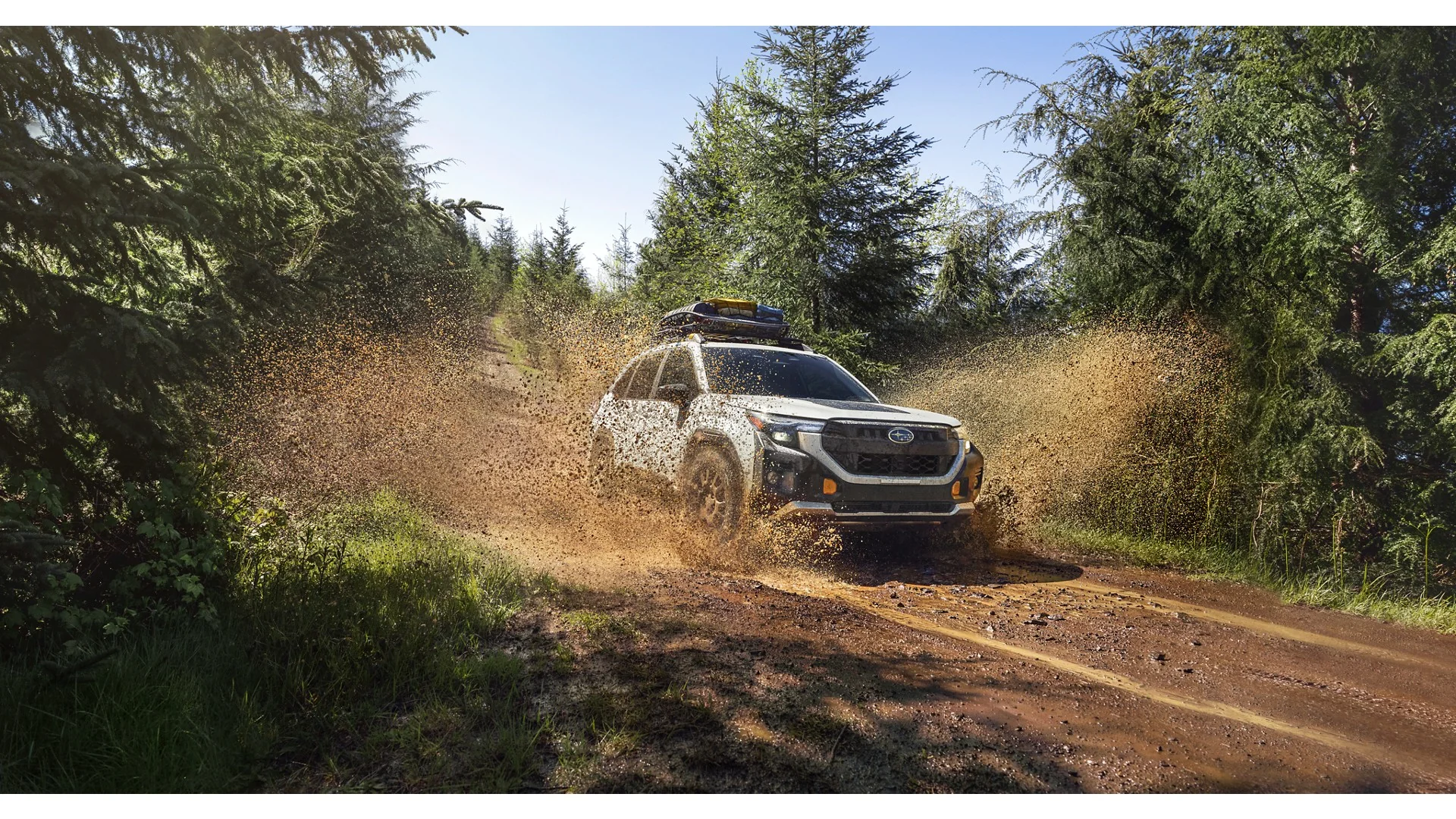 2026 Subaru Forester Wilderness in Crystal White Pearl — built for the Crystal Coast outdoors