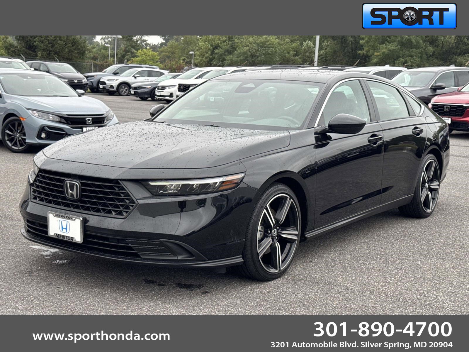 2024 Honda Accord Hybrid Sport