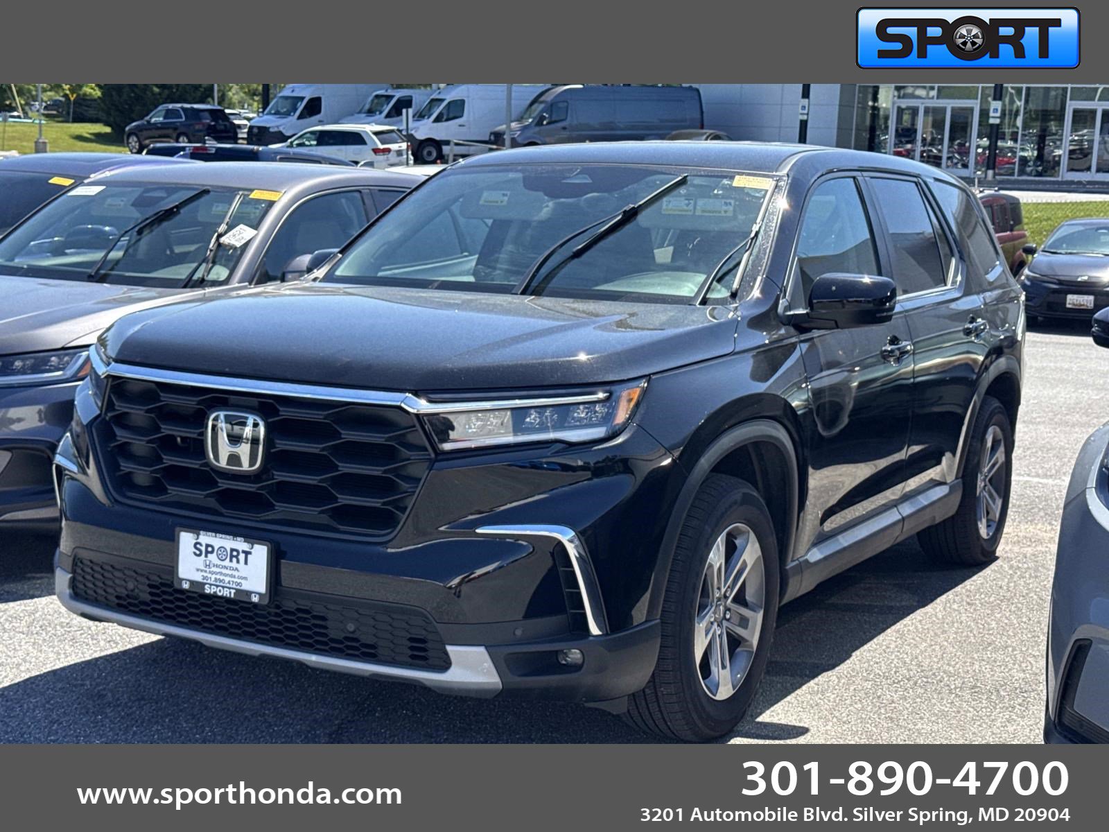 2025 Honda Pilot EX-L AWD's photo