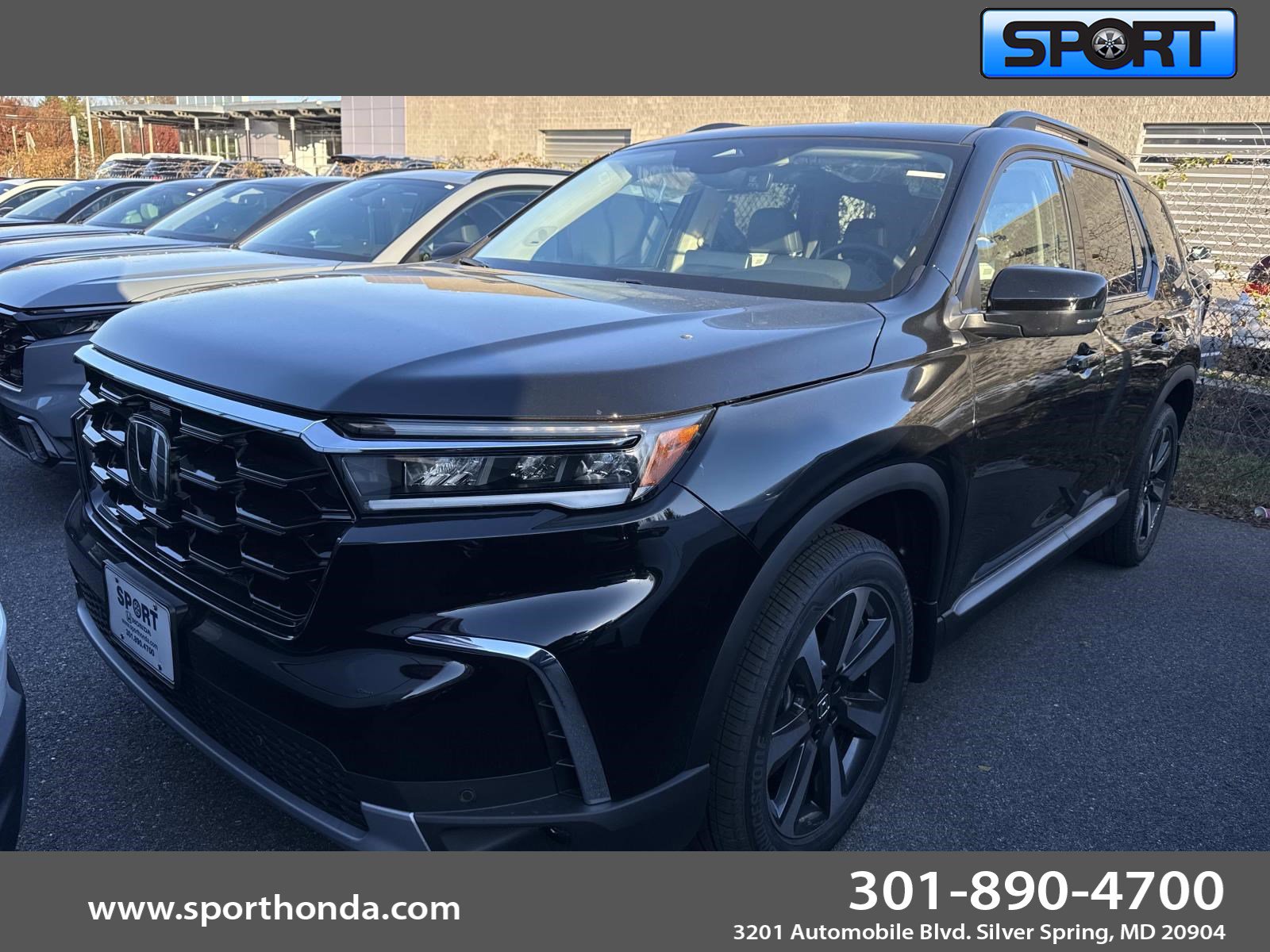 2025 Honda Pilot Touring's photo