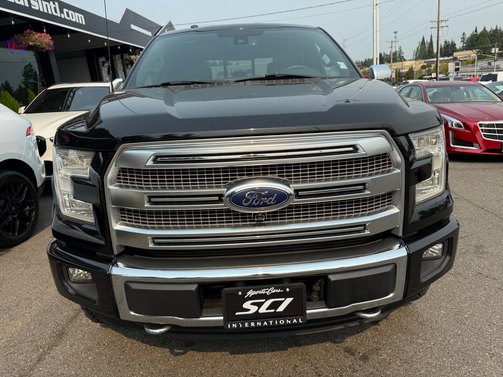 2016 Ford F-150 Platinum photo 2
