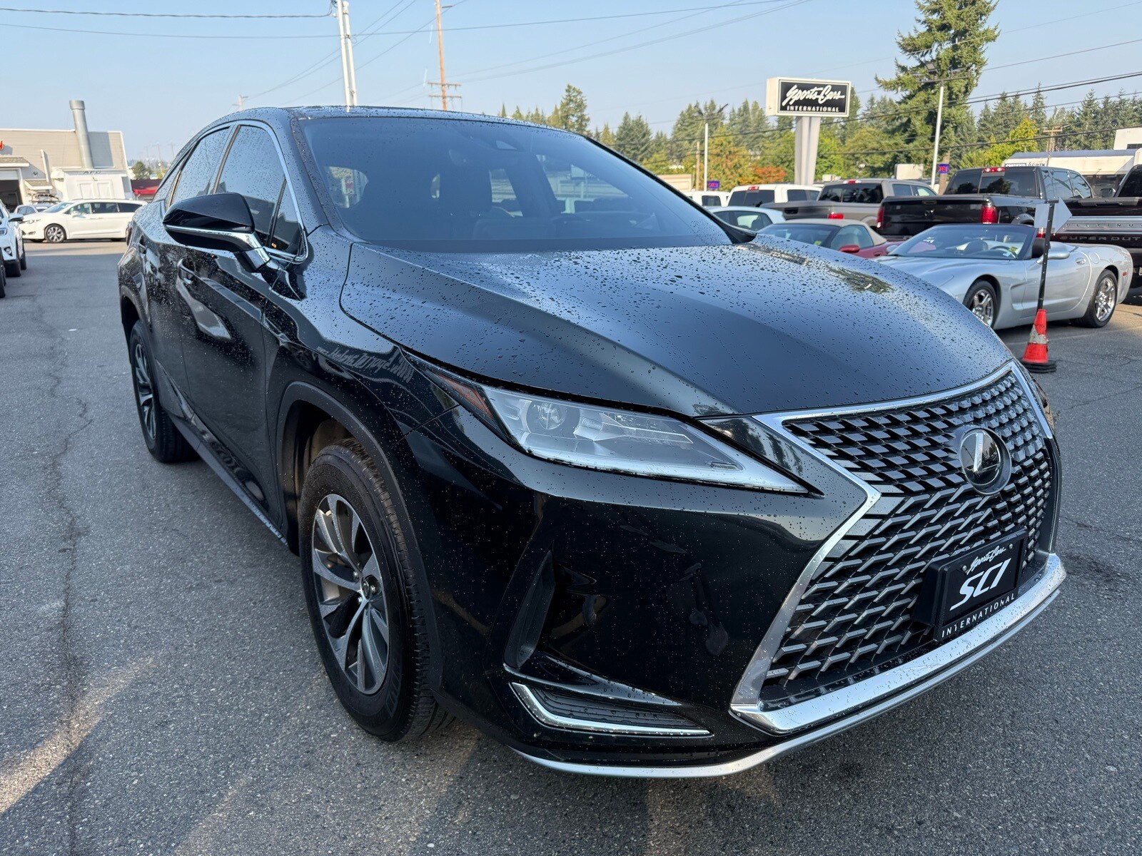 2022 Lexus RX 350 Luxury photo 3