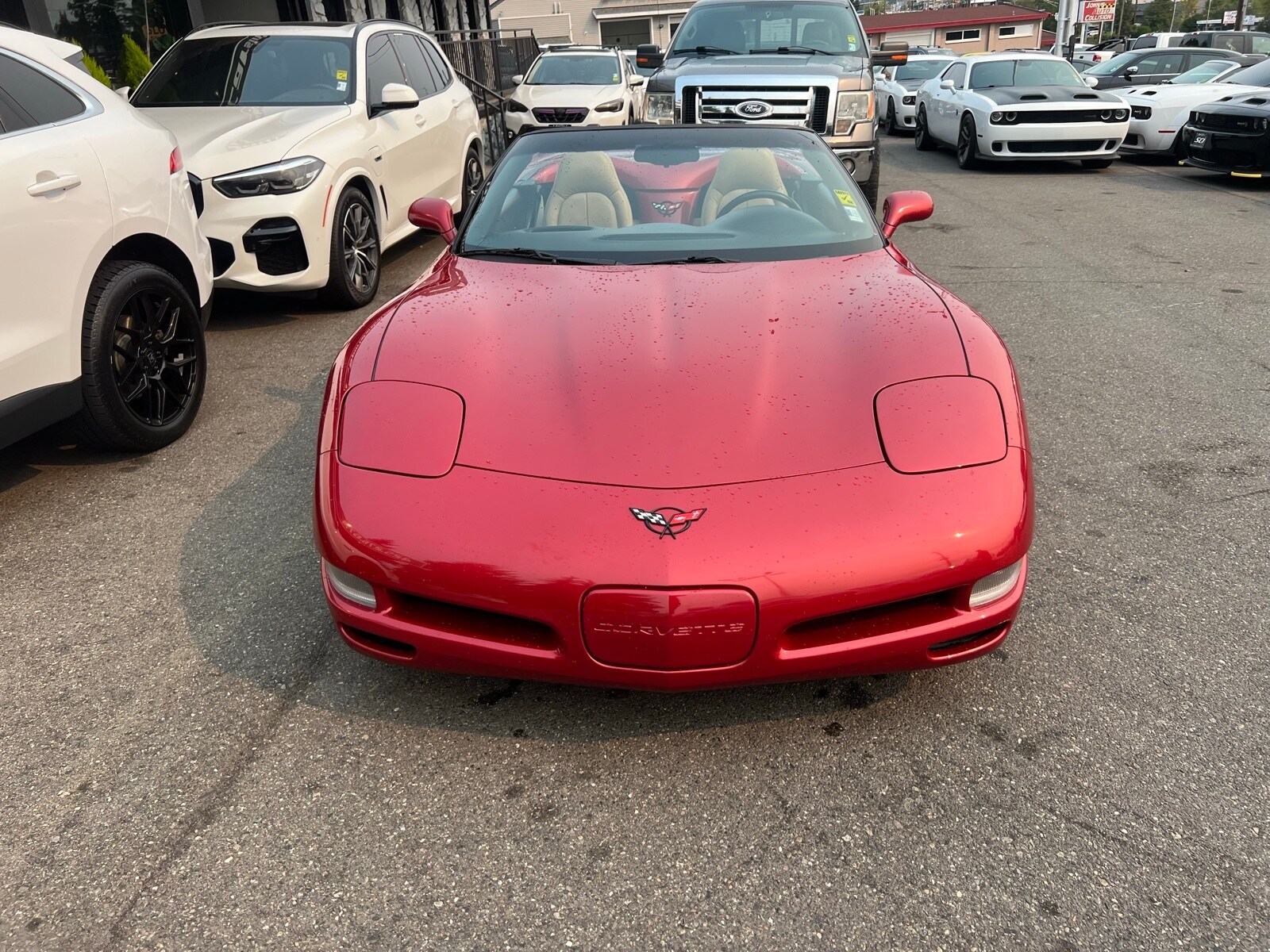 1998 Chevrolet Corvette Base Convertible photo 2