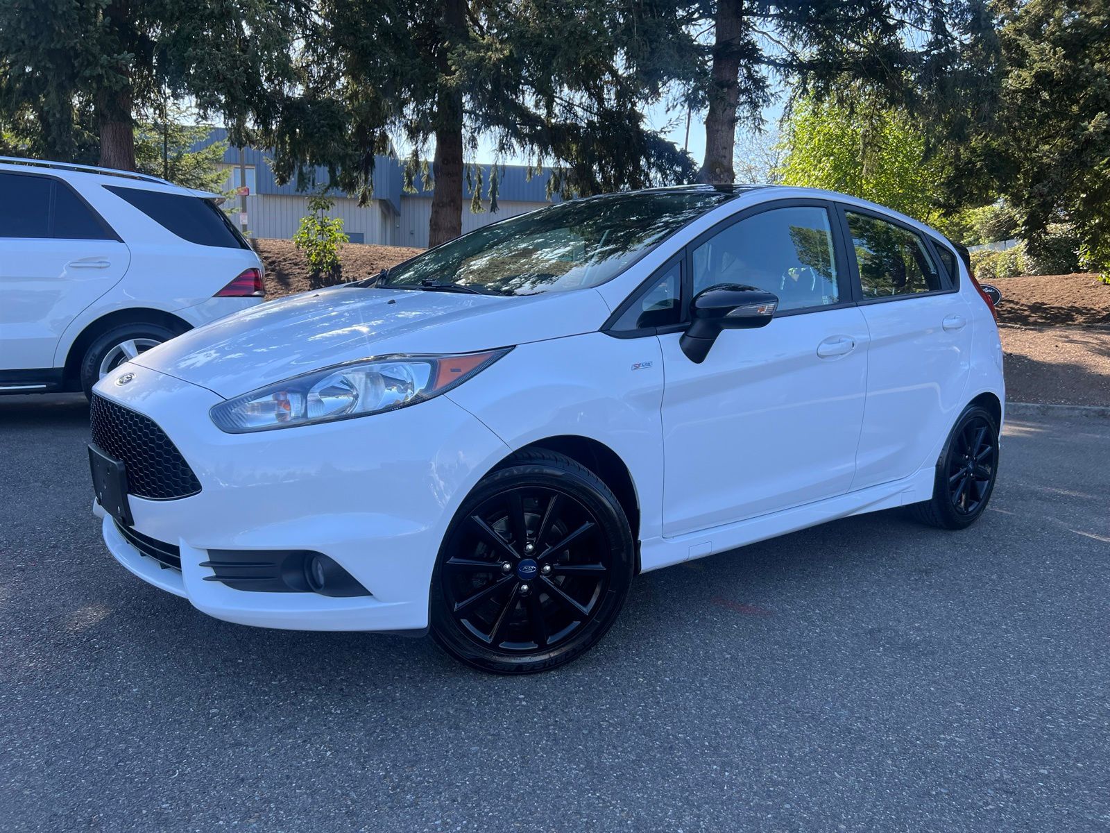 2019 Ford Fiesta ST Line Hatch's photo