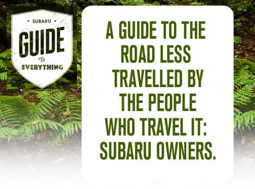 0612_SPSU_Guide_HEADER.jpg