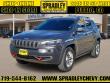 Used 2019 Jeep Cherokee Trailhawk 4x4 SUV