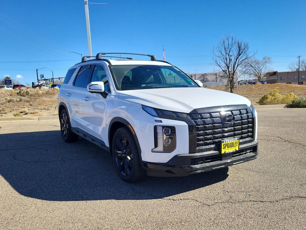 Used 2025 Hyundai Palisade XRT SUV
